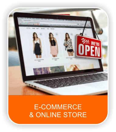 ecommerce website development and online store set-up company in paschim vihar new delhi